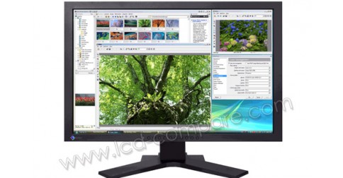 eizo sx2461w