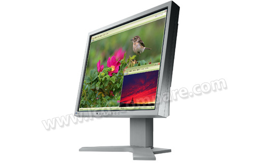 Eizo Flexscan S1721 Gris 17 Pouces Fiche Technique Prix Et Avis